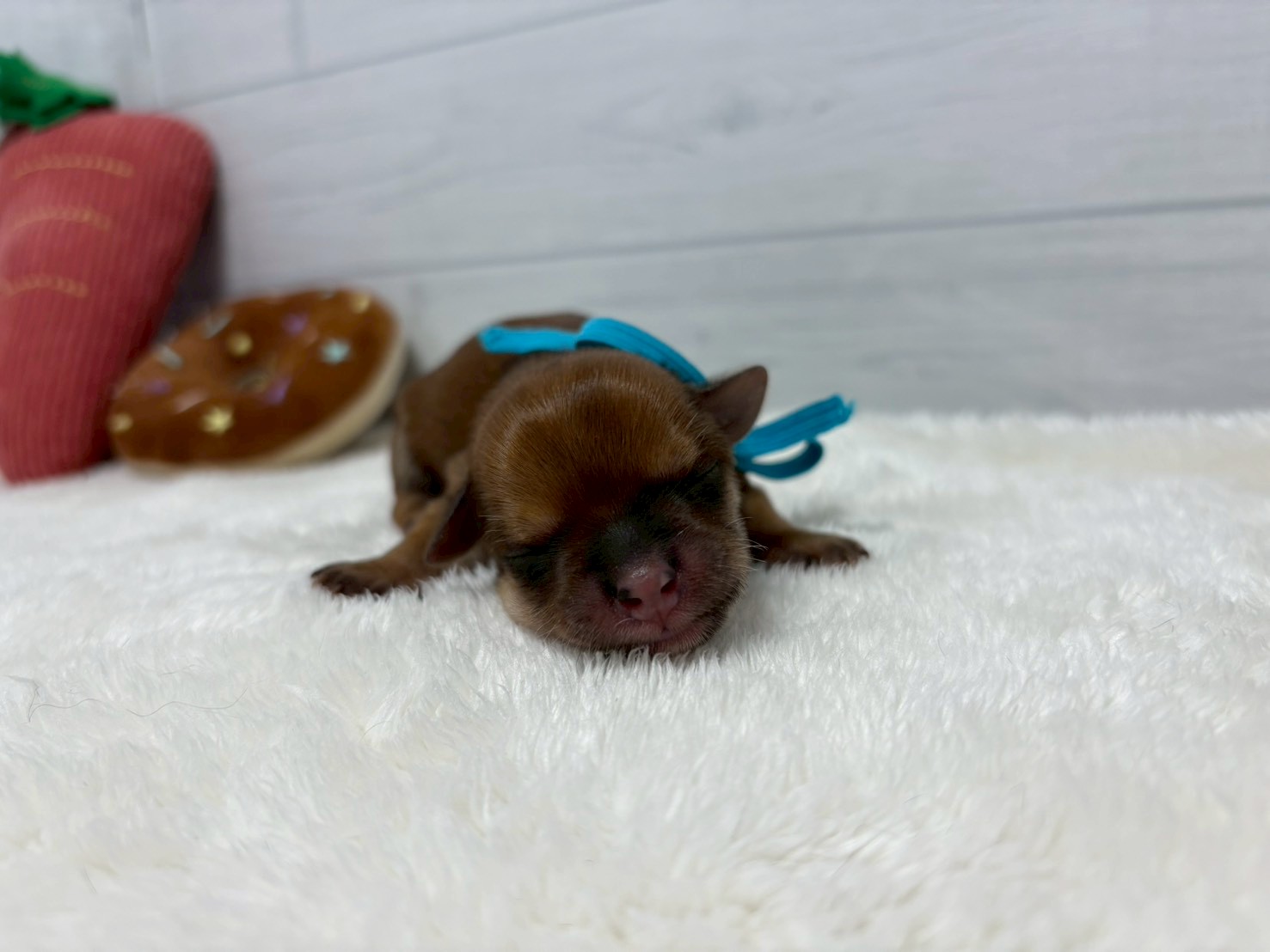 赤ちゃん写真1-1