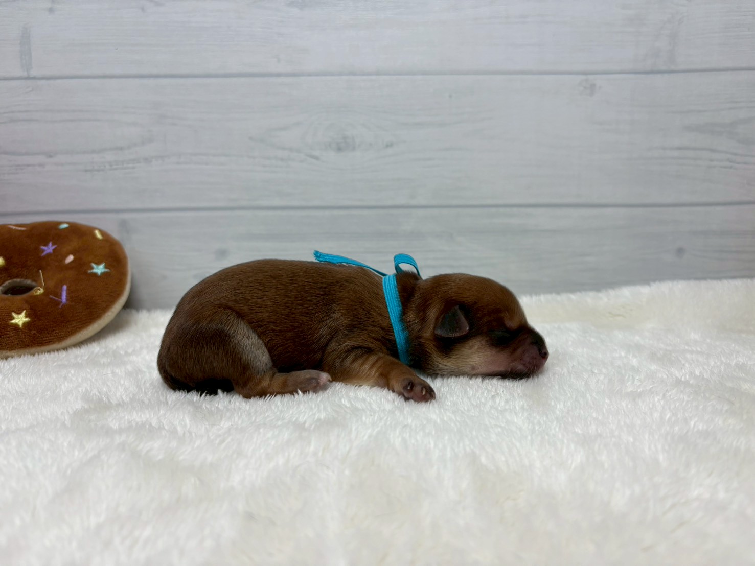 赤ちゃん写真1-2