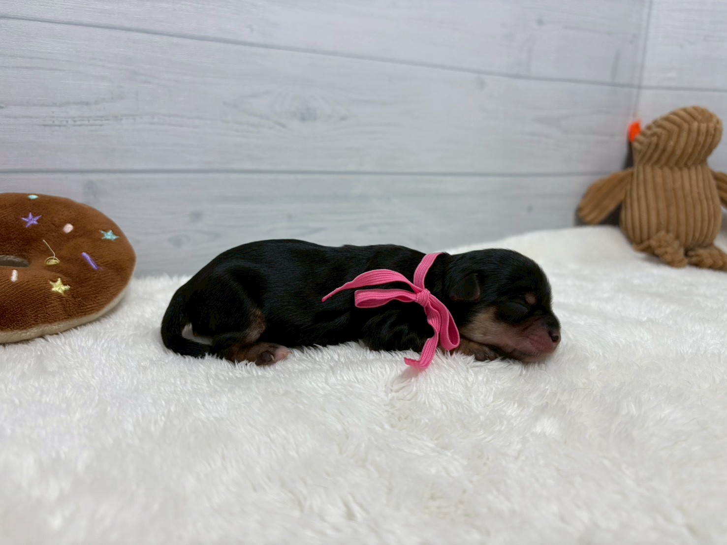 赤ちゃん写真1-2