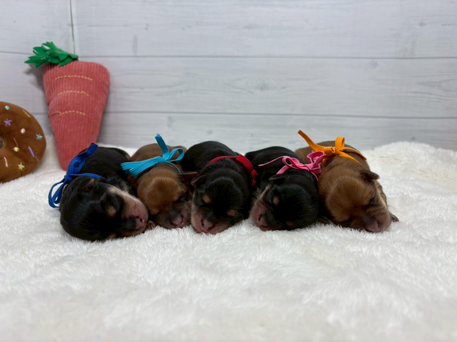 赤ちゃん写真1-3