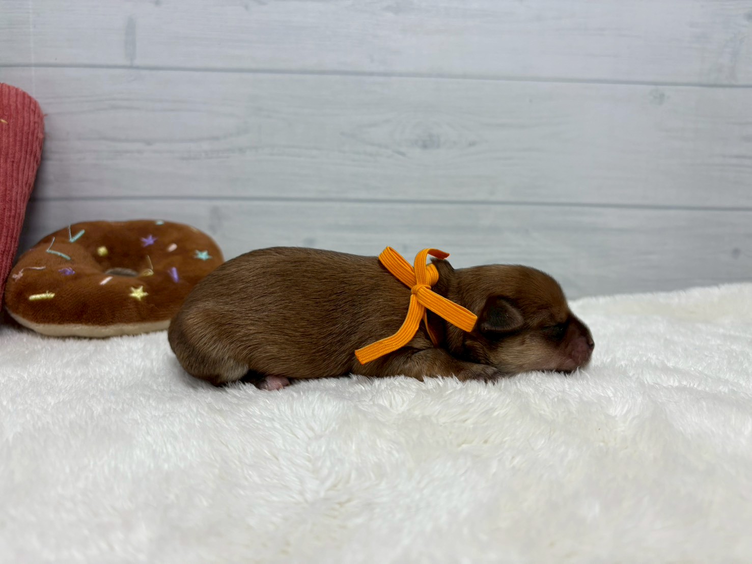 赤ちゃん写真1-2