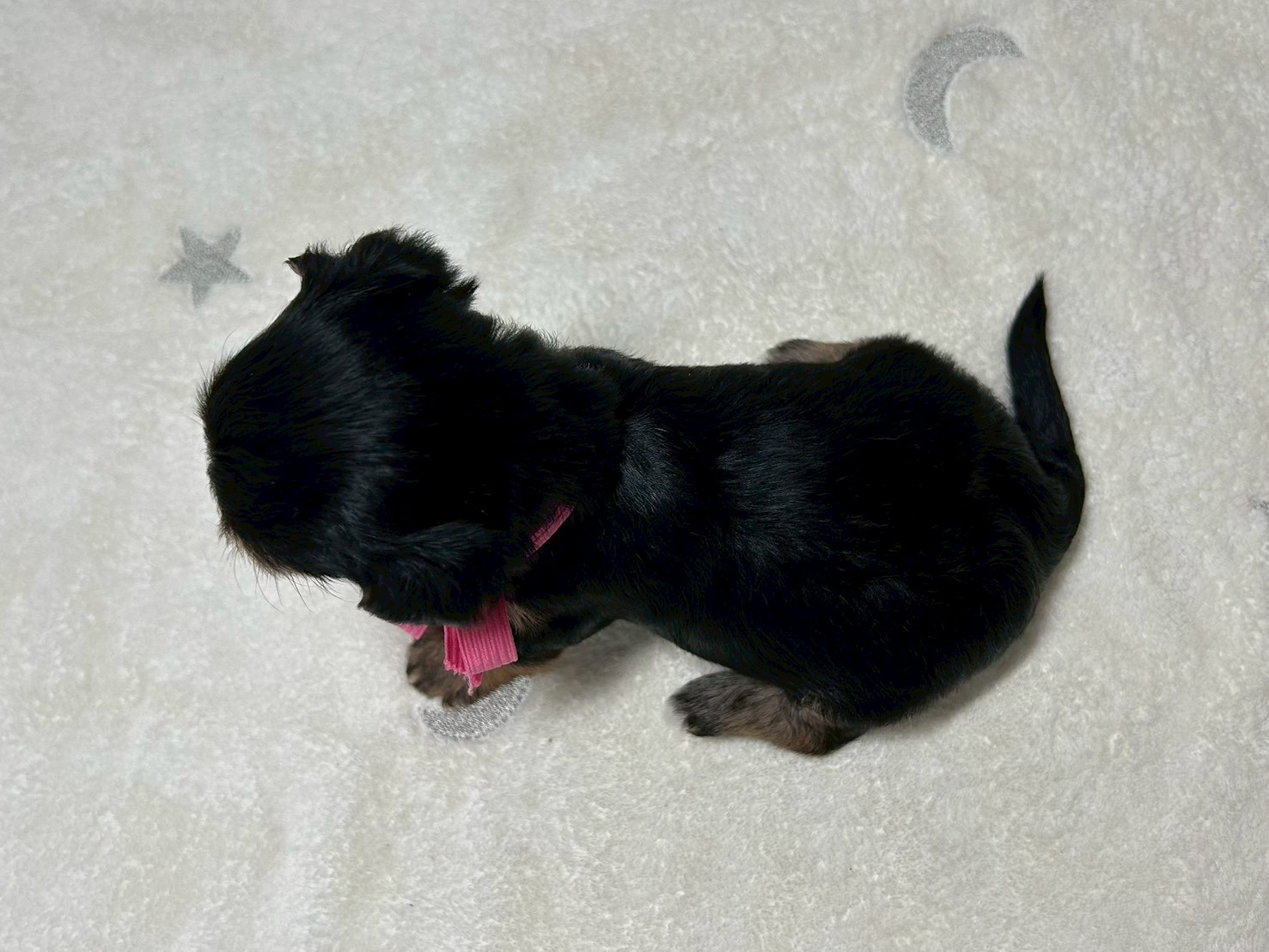 赤ちゃん写真2-3