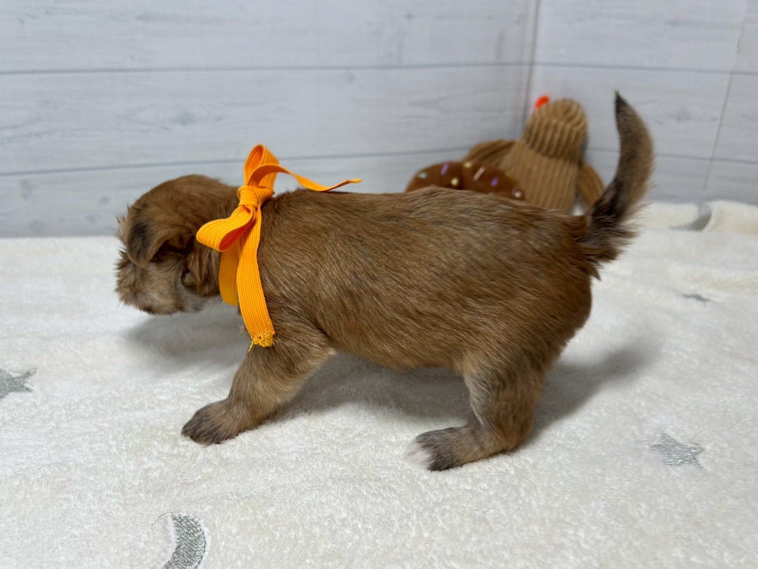 赤ちゃん写真2-2