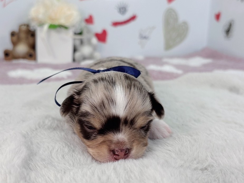 赤ちゃん写真1-1