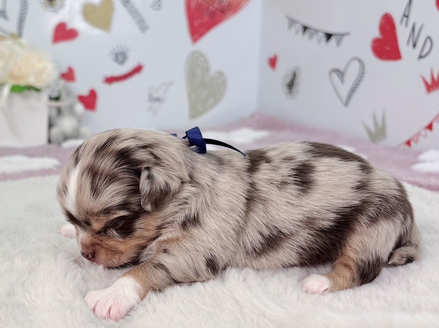 赤ちゃん写真1-2