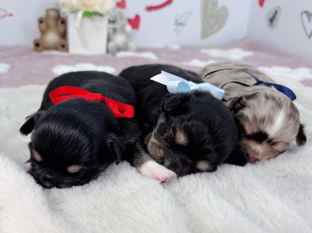 赤ちゃん写真1-3