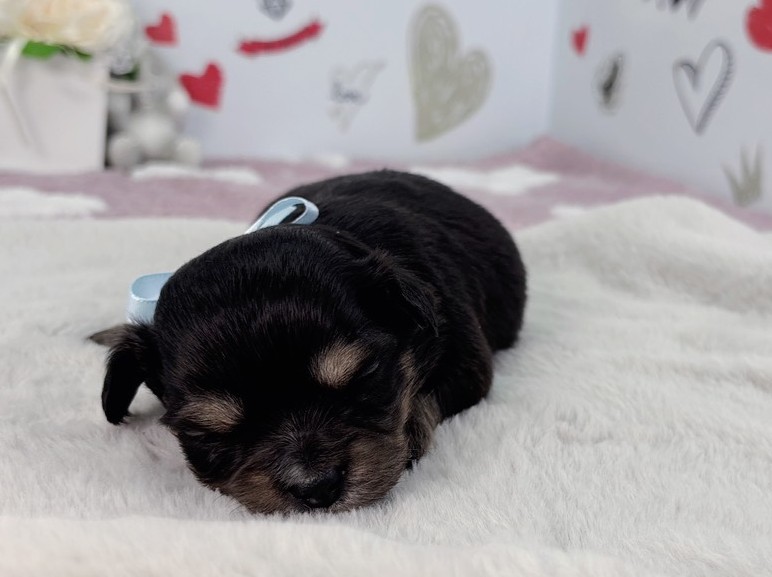 赤ちゃん写真1-1