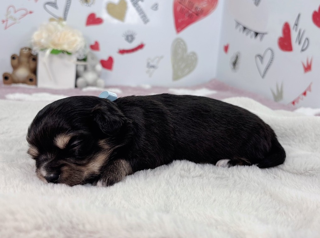 赤ちゃん写真1-2