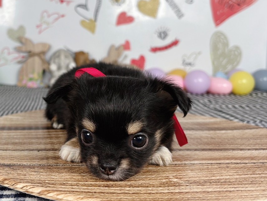 赤ちゃん写真2-1