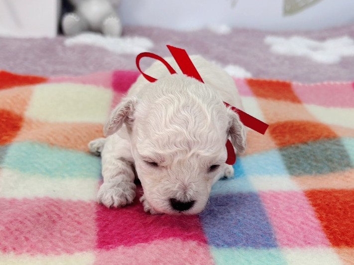 赤ちゃん写真1-1