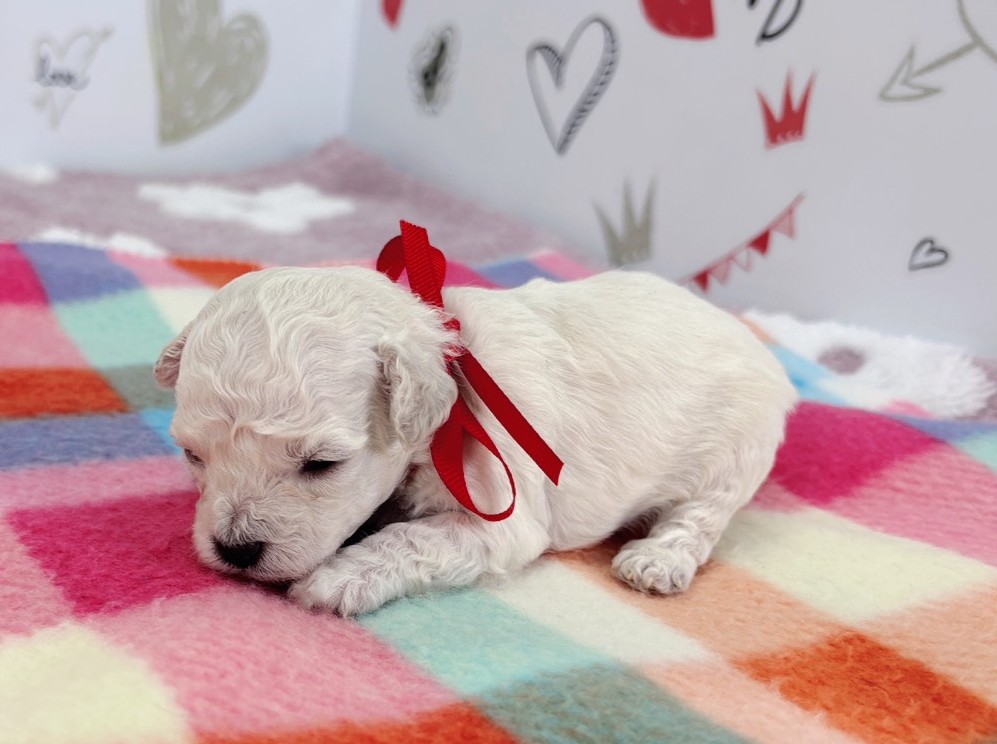 赤ちゃん写真1-2