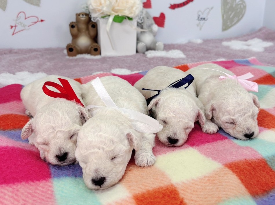 赤ちゃん写真1-3