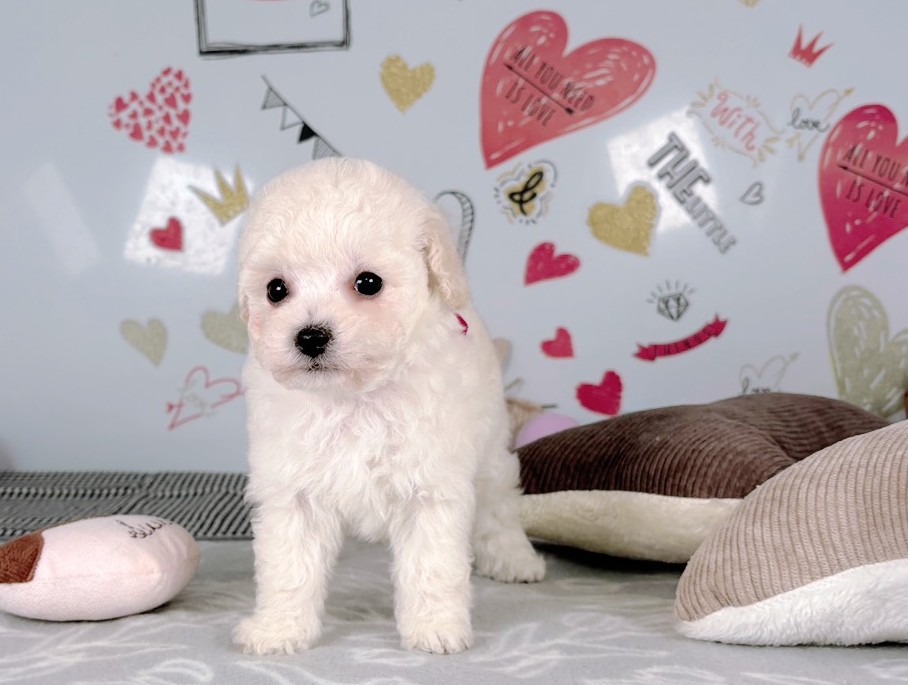 赤ちゃん写真2-1