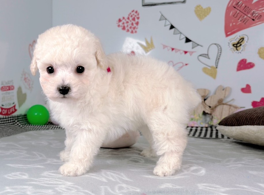 赤ちゃん写真2-2