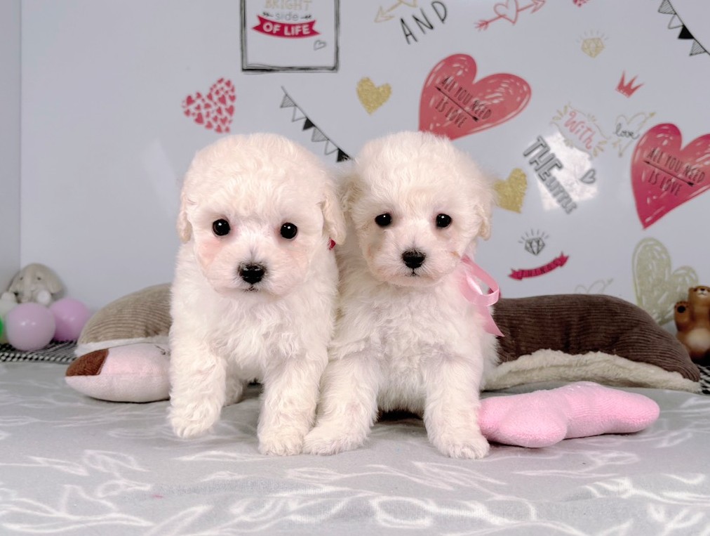 赤ちゃん写真2-3