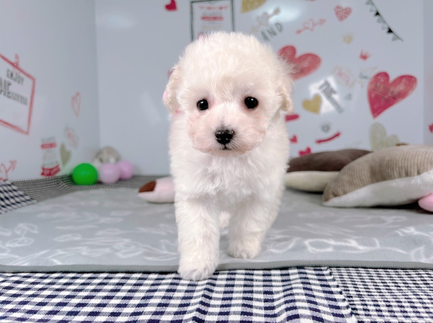 赤ちゃん写真2-1