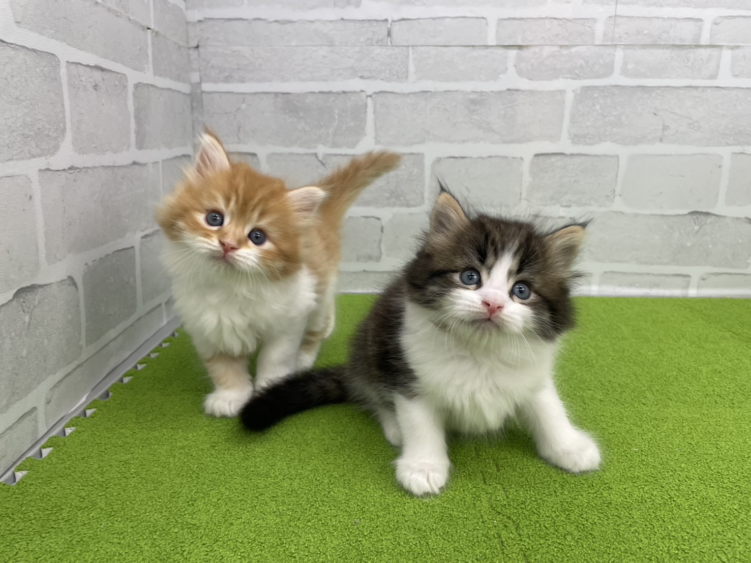 赤ちゃん写真1-3