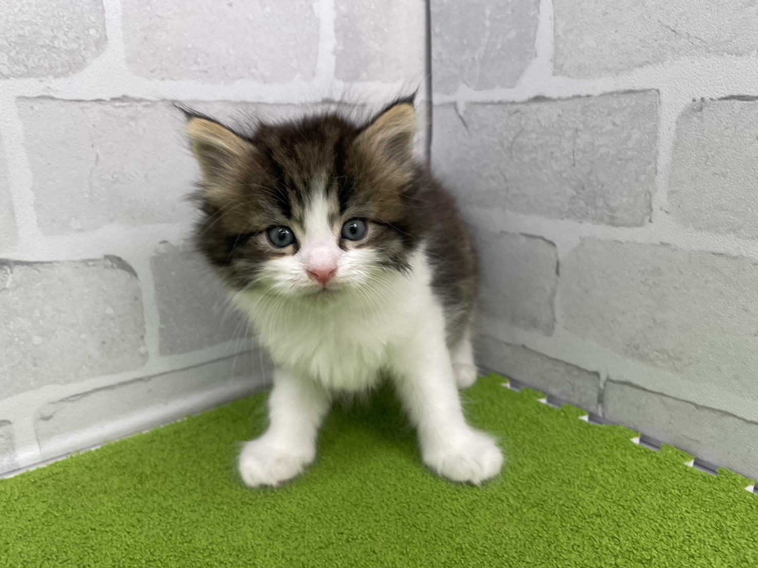 赤ちゃん写真2-1