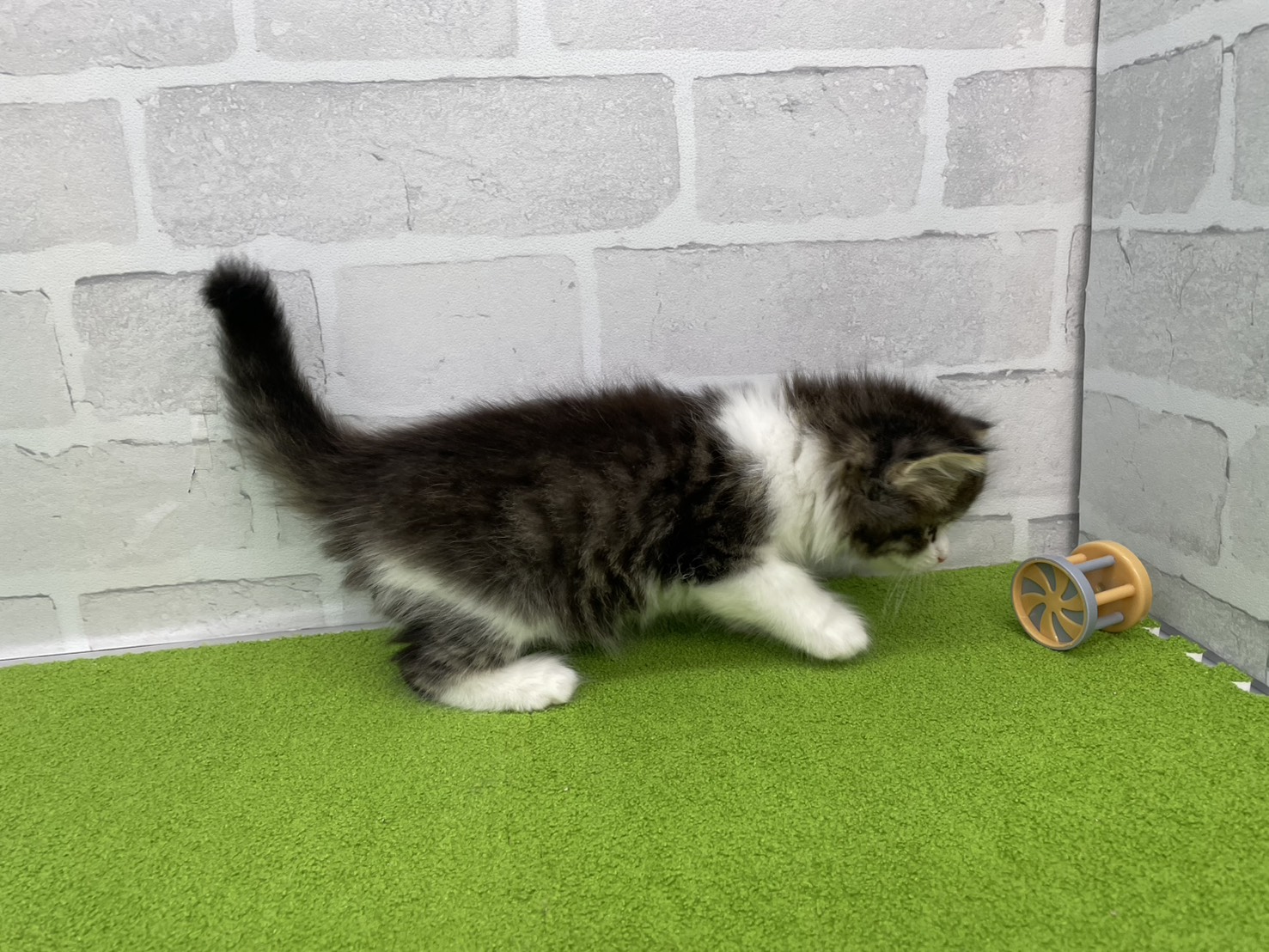 赤ちゃん写真2-2