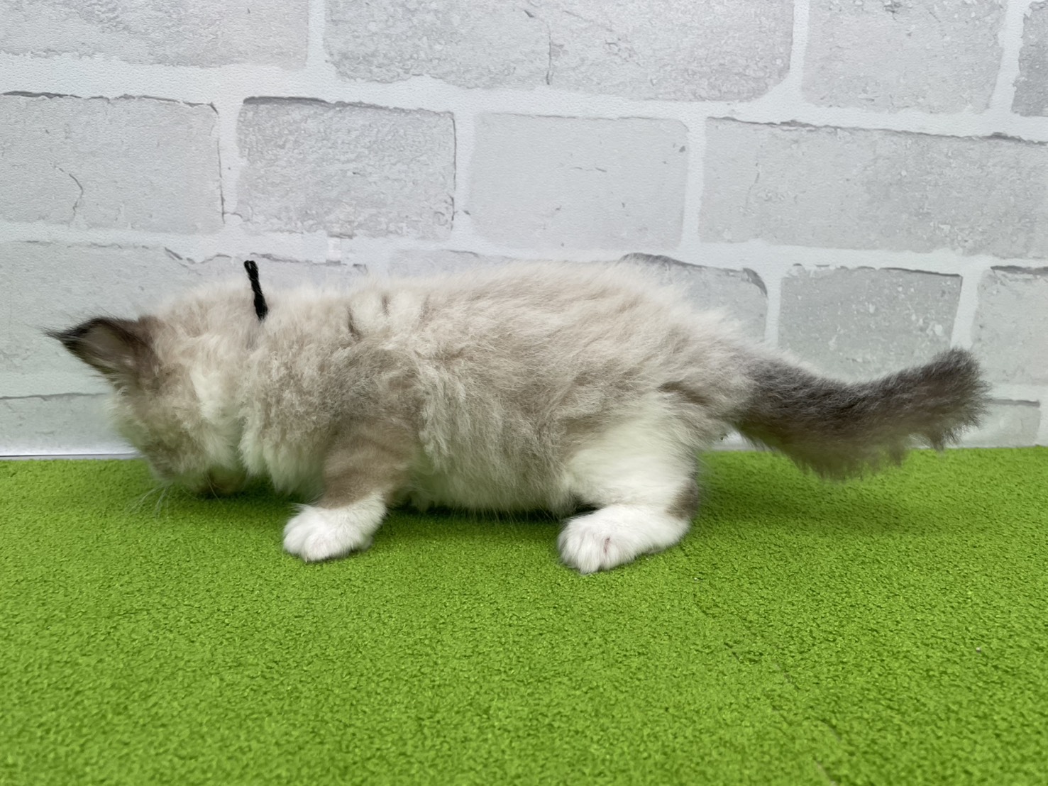 赤ちゃん写真2-2