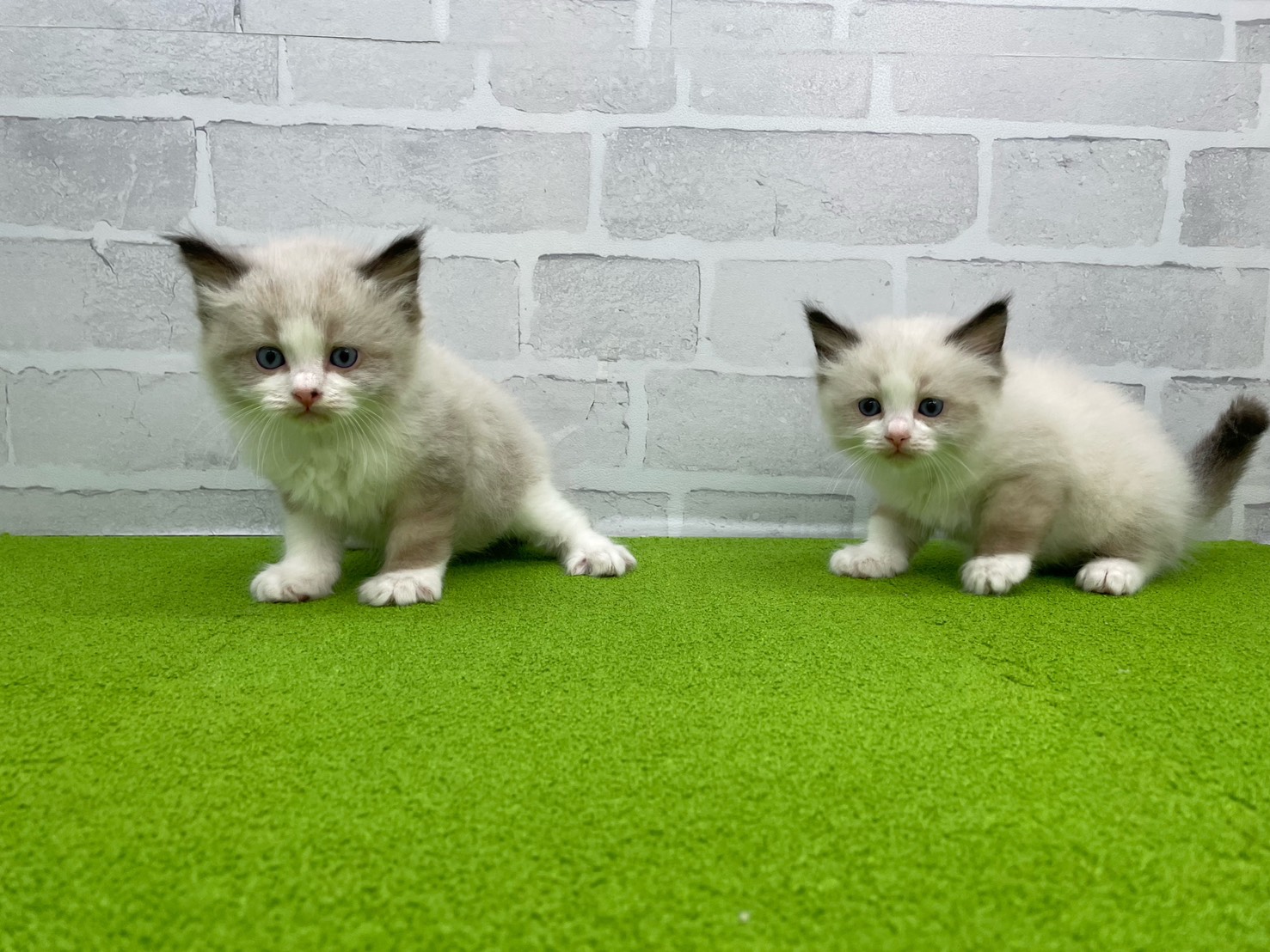 赤ちゃん写真2-3