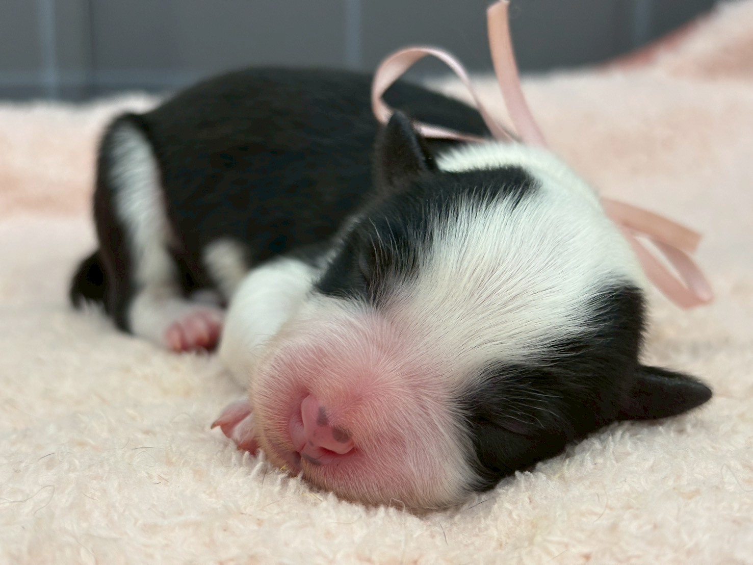 赤ちゃん写真1-1