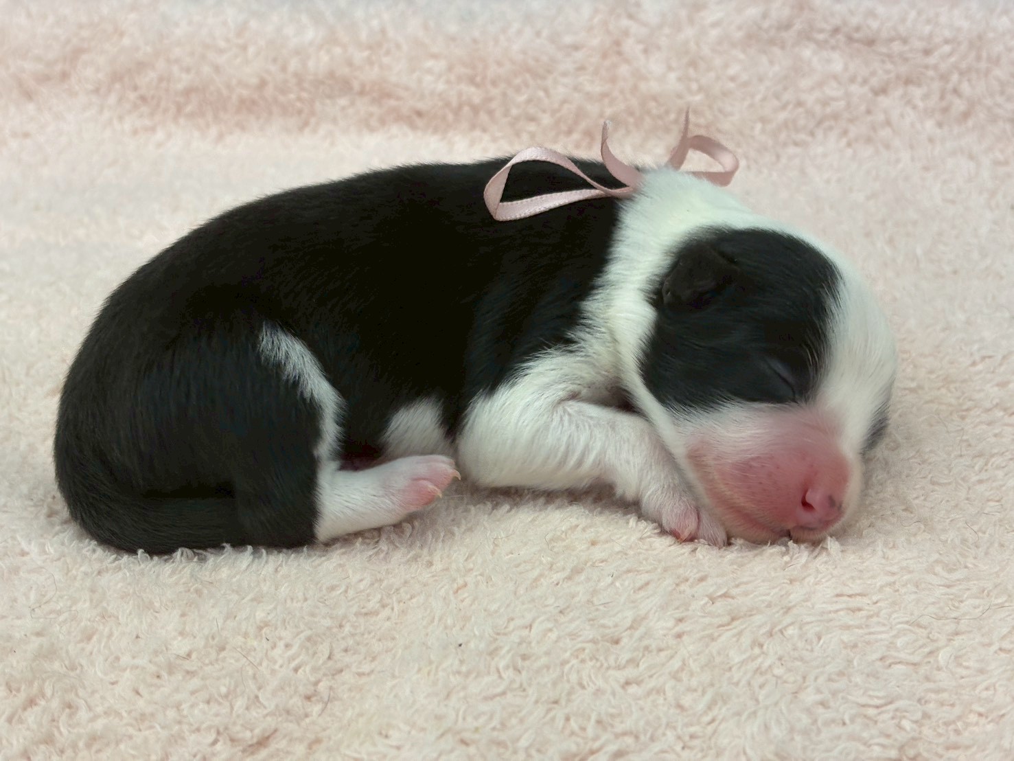 赤ちゃん写真1-2