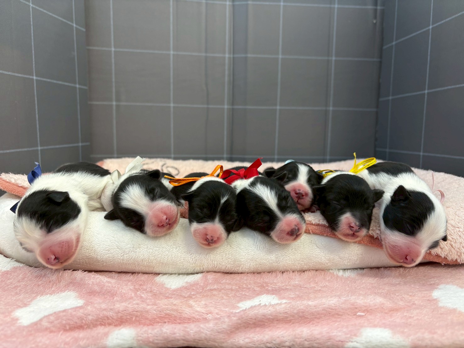 赤ちゃん写真1-3