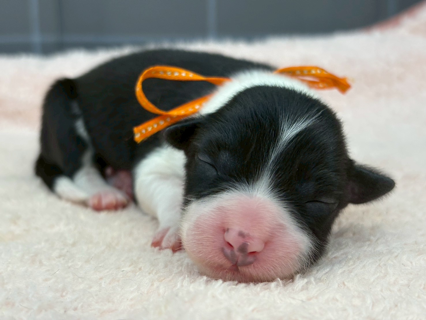 赤ちゃん写真1-1