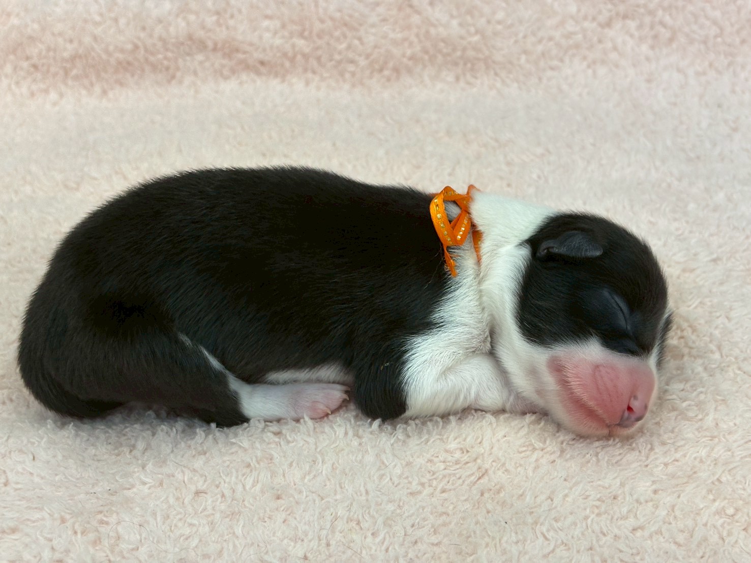 赤ちゃん写真1-2