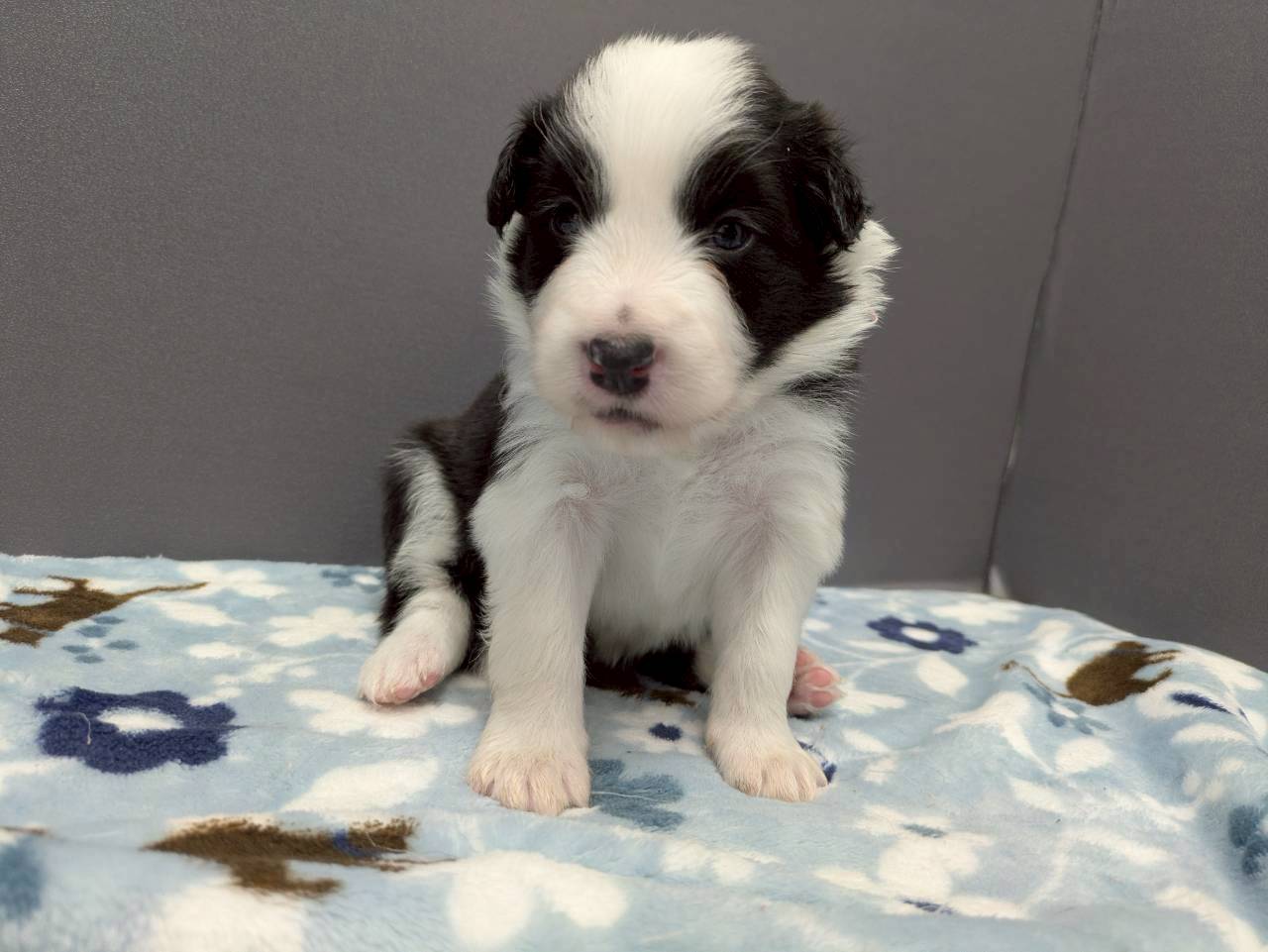 赤ちゃん写真2-1