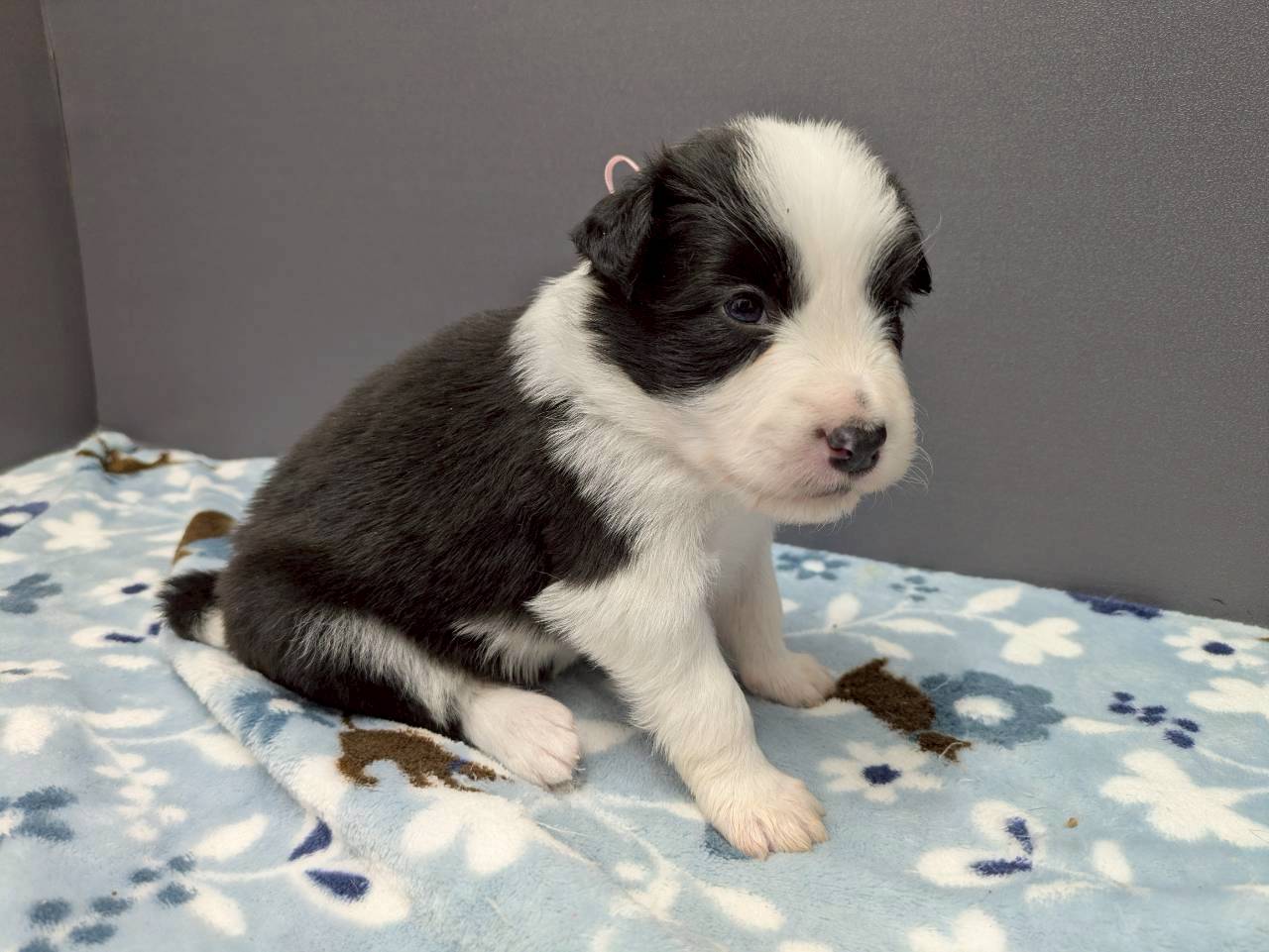 赤ちゃん写真2-2