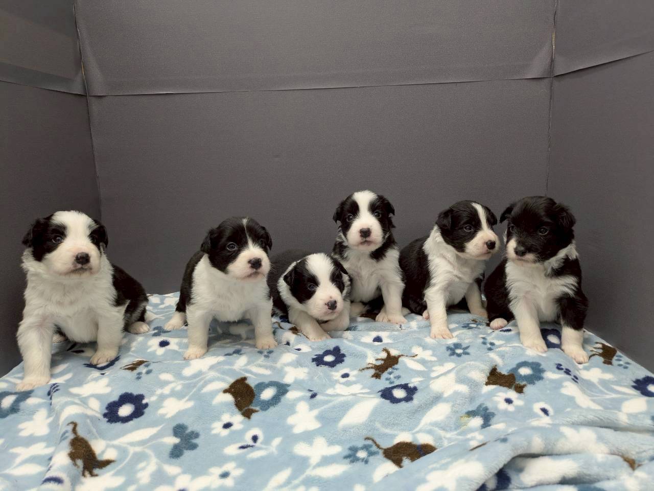 赤ちゃん写真2-3