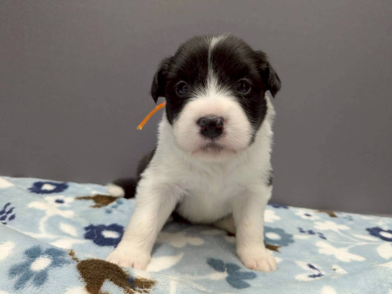 赤ちゃん写真2-1