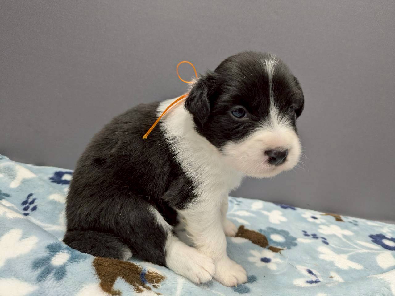 赤ちゃん写真2-2