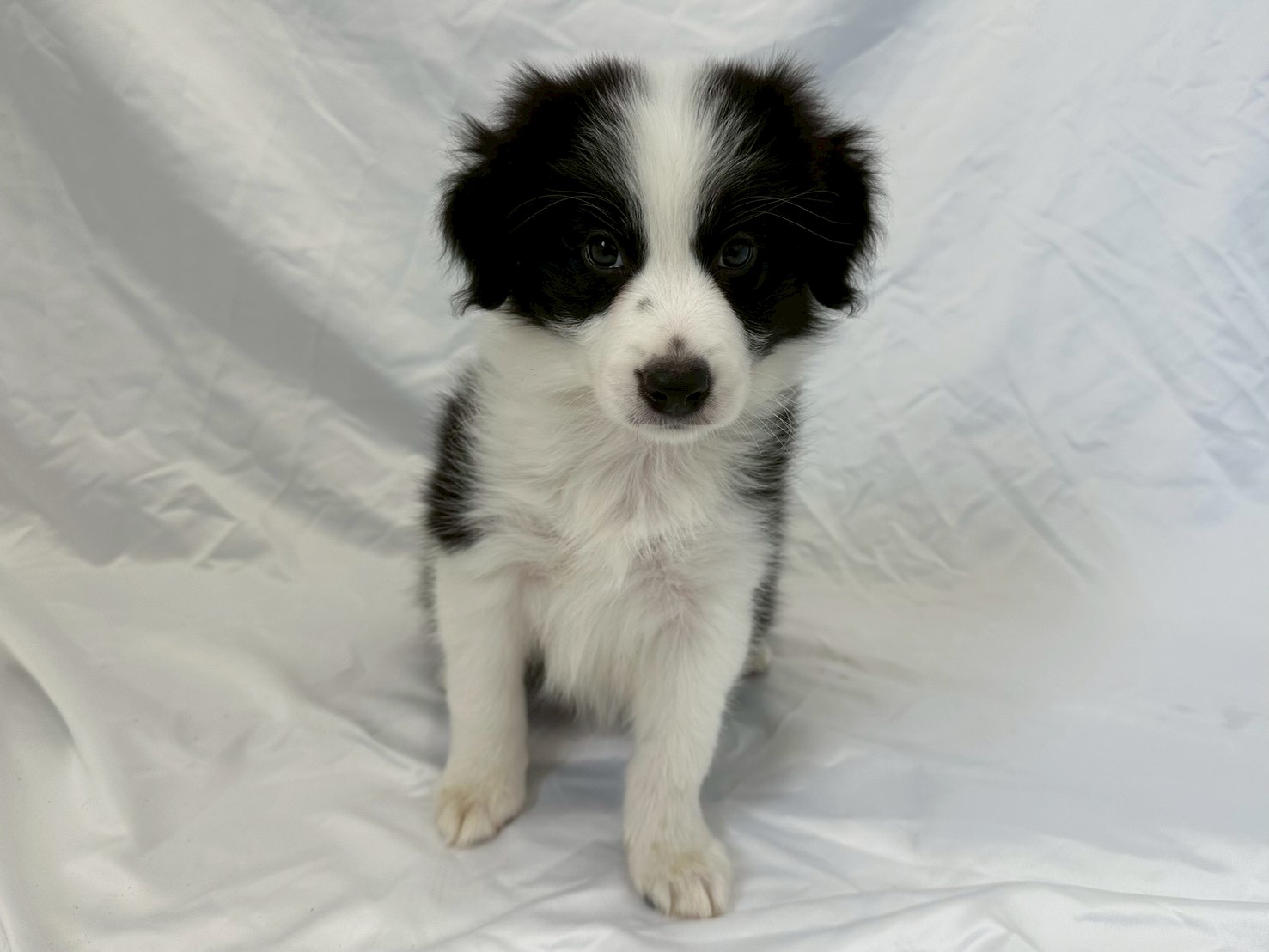 赤ちゃん写真3-1