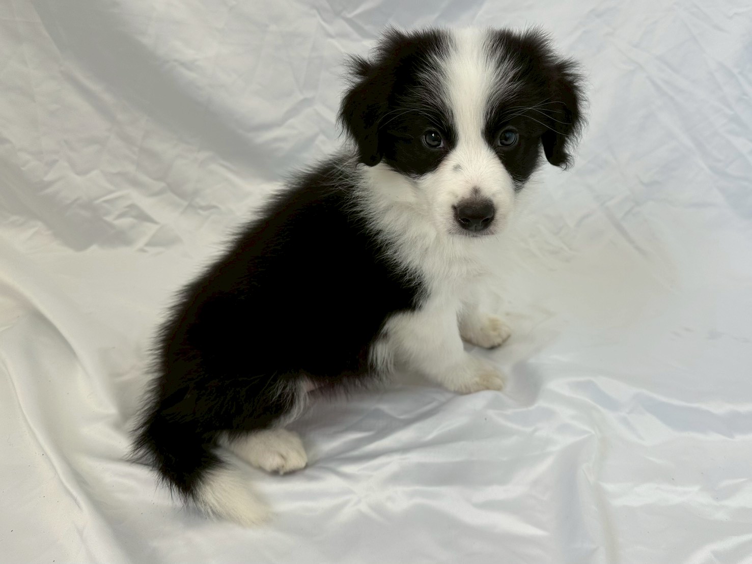 赤ちゃん写真3-2