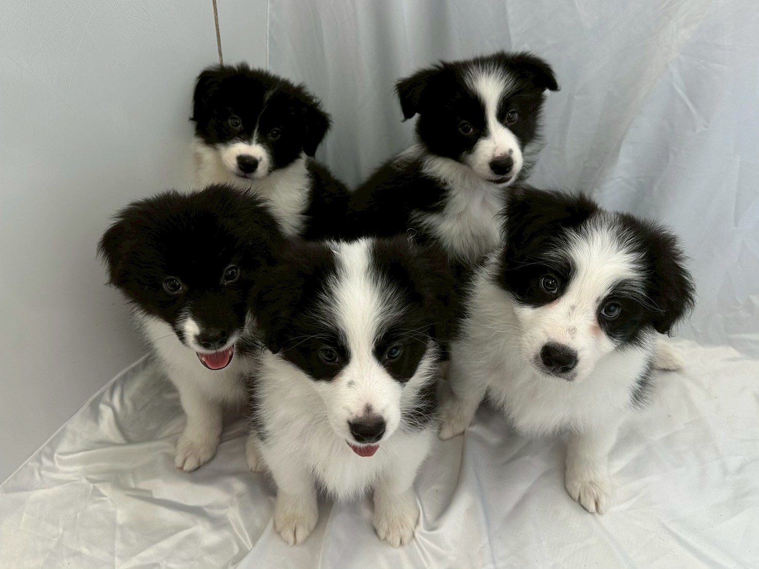 赤ちゃん写真3-3