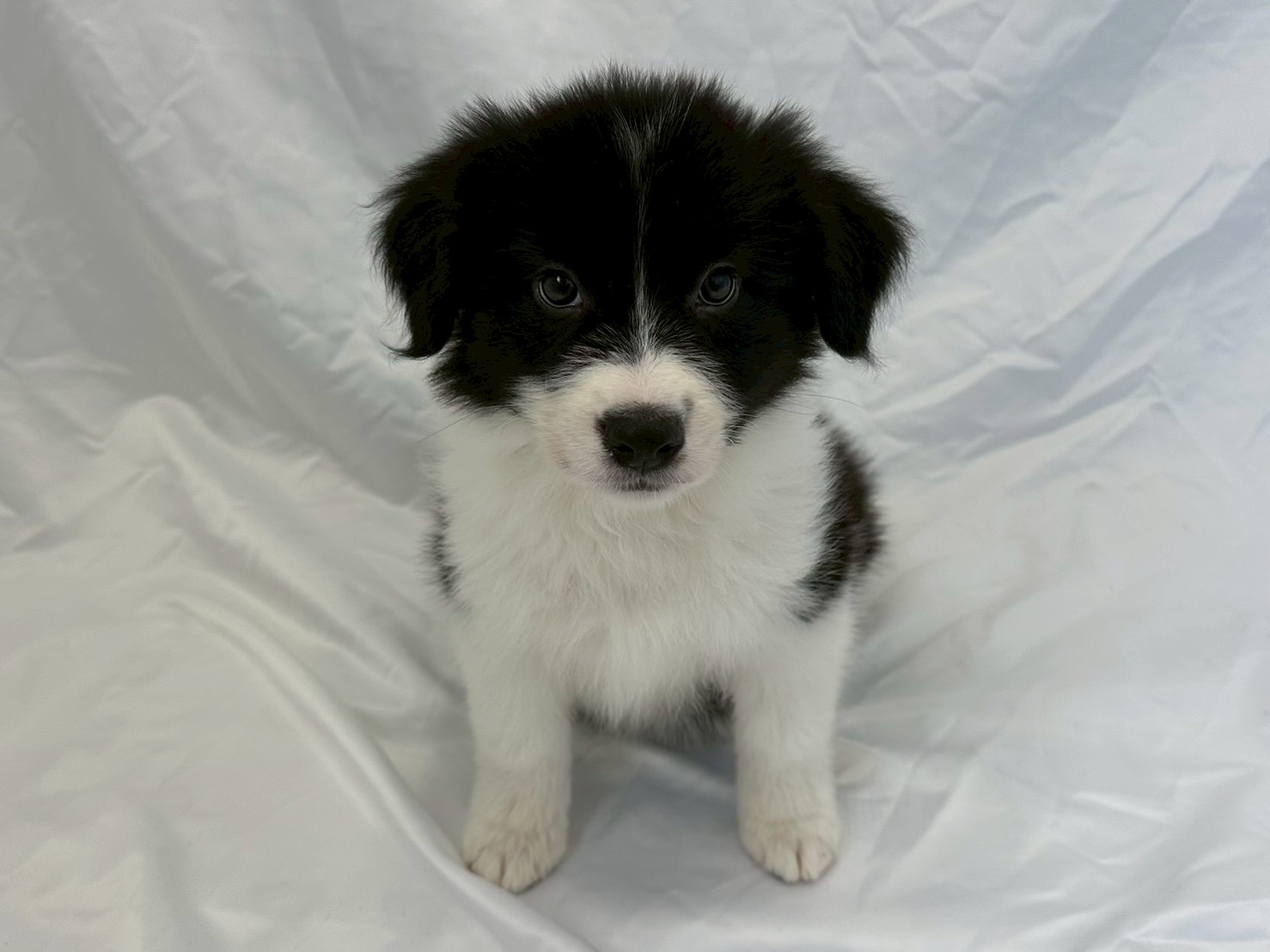 赤ちゃん写真3-1