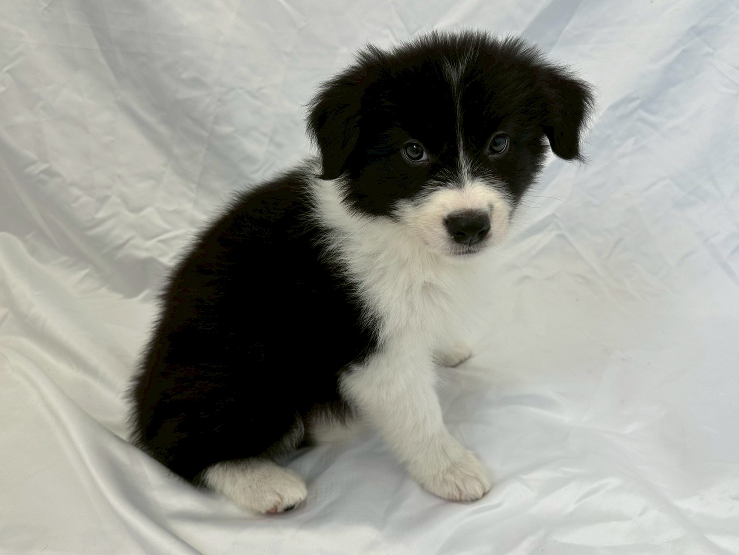 赤ちゃん写真3-2