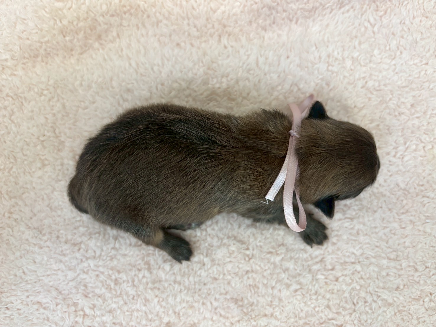 赤ちゃん写真1-3