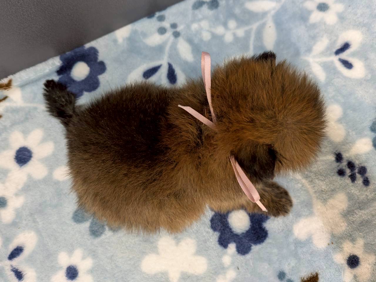 赤ちゃん写真2-3