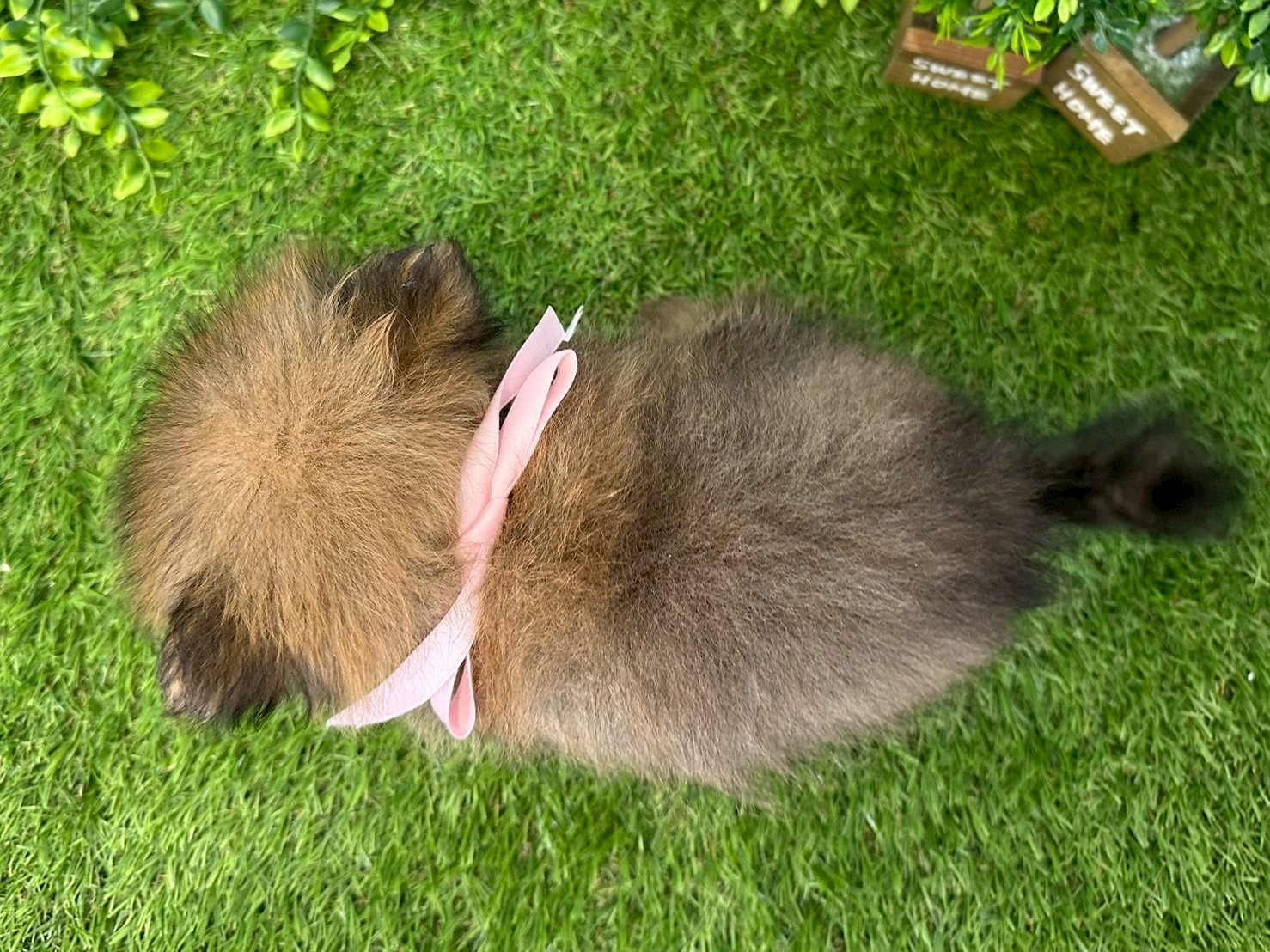 赤ちゃん写真3-3