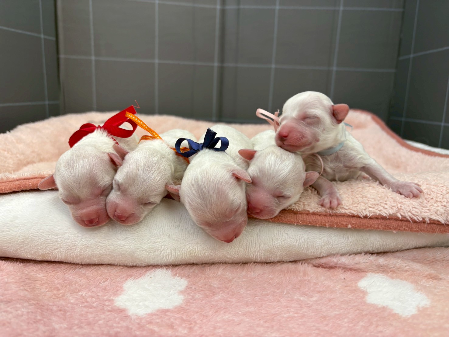 赤ちゃん写真1-3