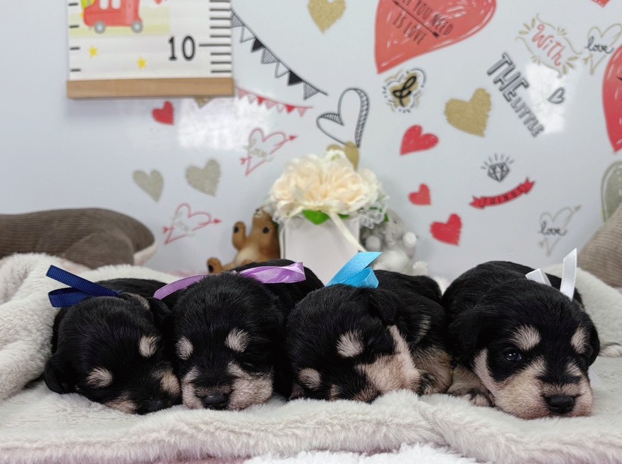 赤ちゃん写真1-3