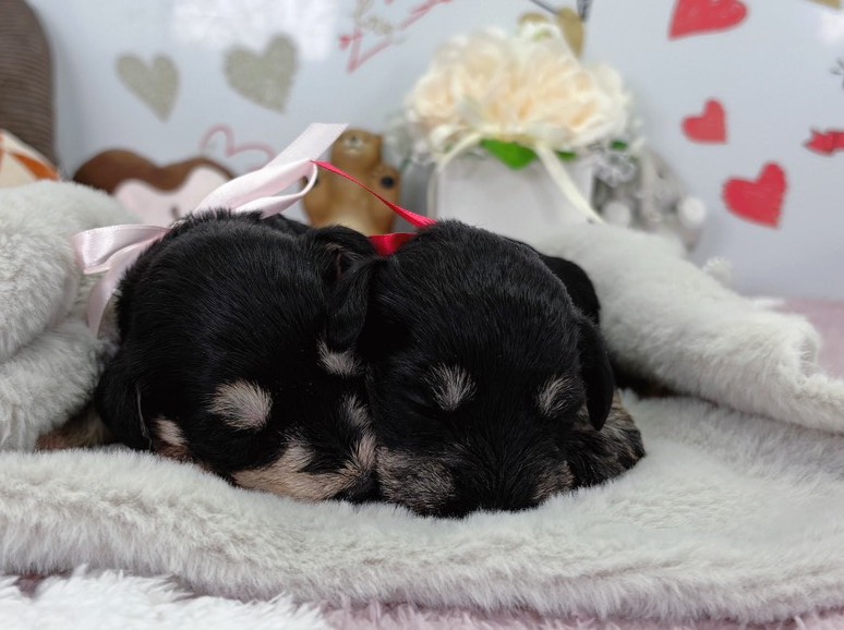 赤ちゃん写真1-3
