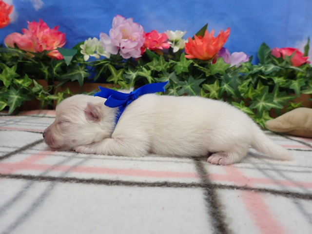 赤ちゃん写真1-2