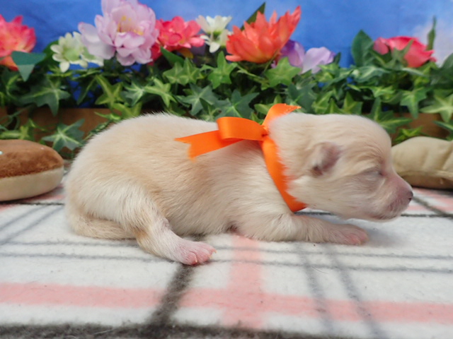 赤ちゃん写真1-2