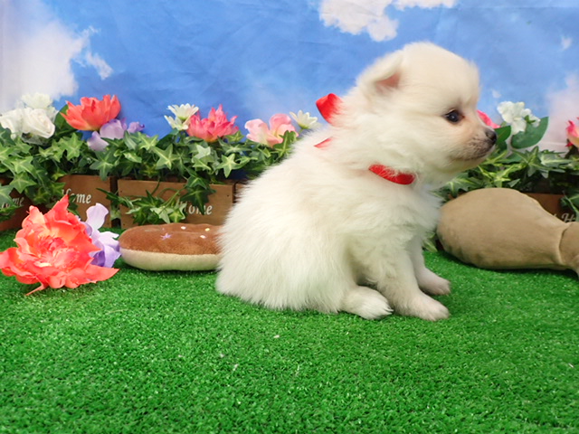 赤ちゃん写真2-2