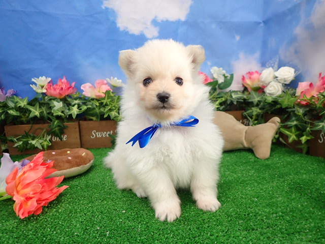 赤ちゃん写真2-1